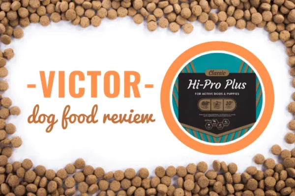 Victor Dog Food A Nutritious Choice for Your Canine Companion